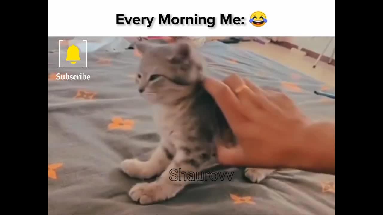 Every morning it's me liker a lazy cat😂