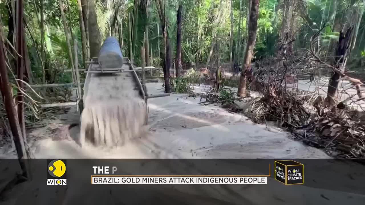 Brazil: Gold miners attack indigenous people | WION Climate Tracker | Latest World English News