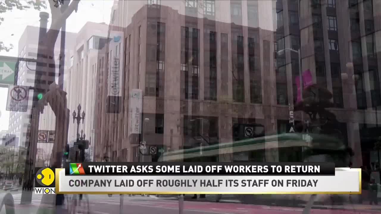 WION Business News | Twitter takes U-Turn post massive layoffs, asks fired employees to come back