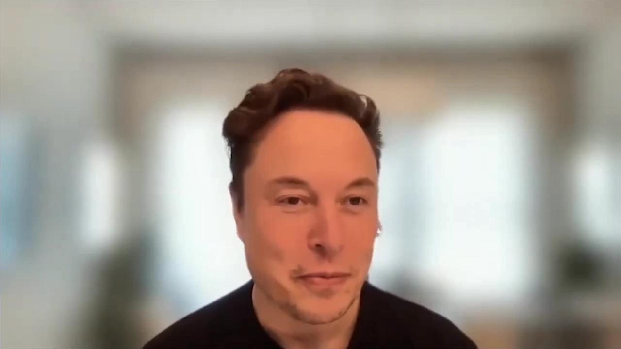 Elon Musk - Twitter's Fake Bots - What a Laugh