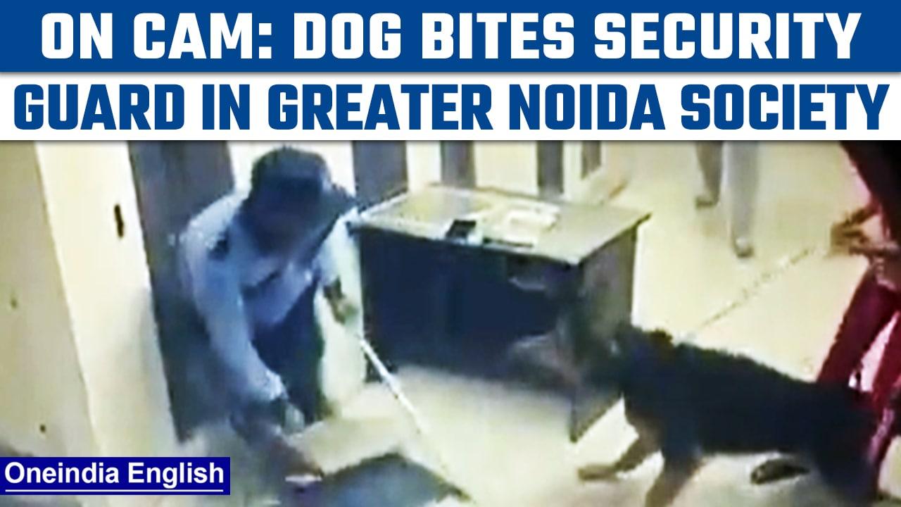 Pet dog bites security guard in Greater Noida’s housing society | Watch CCTV footage | Oneindia News