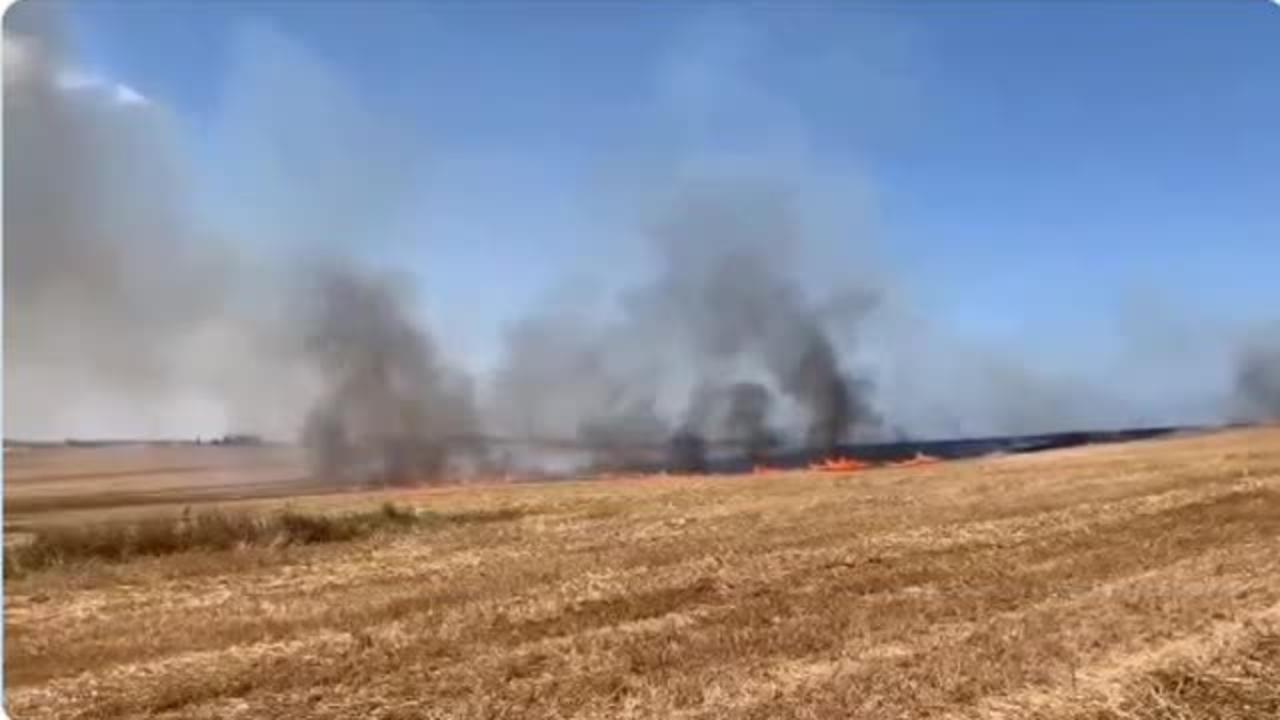 Israel Field Ignited By Palestinian Incendiary Balloons