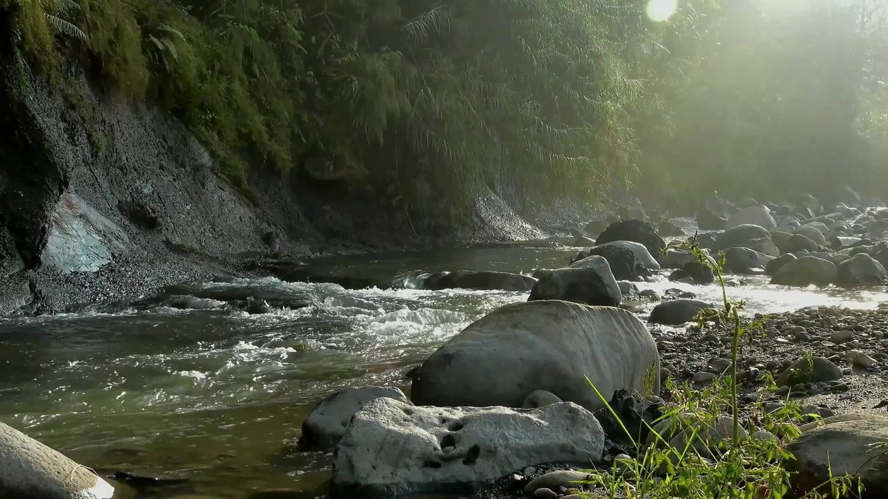Lord's Nature | Relaxing River - Ultra HD Nature - Water Stream & Bird Sounds - Sleep/Study/Meditate
