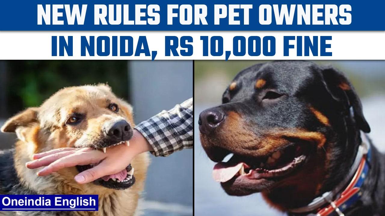 Noida tightens noose on pet owners, imposes Rs 10,000 fine in case of attack | Oneindia News *News