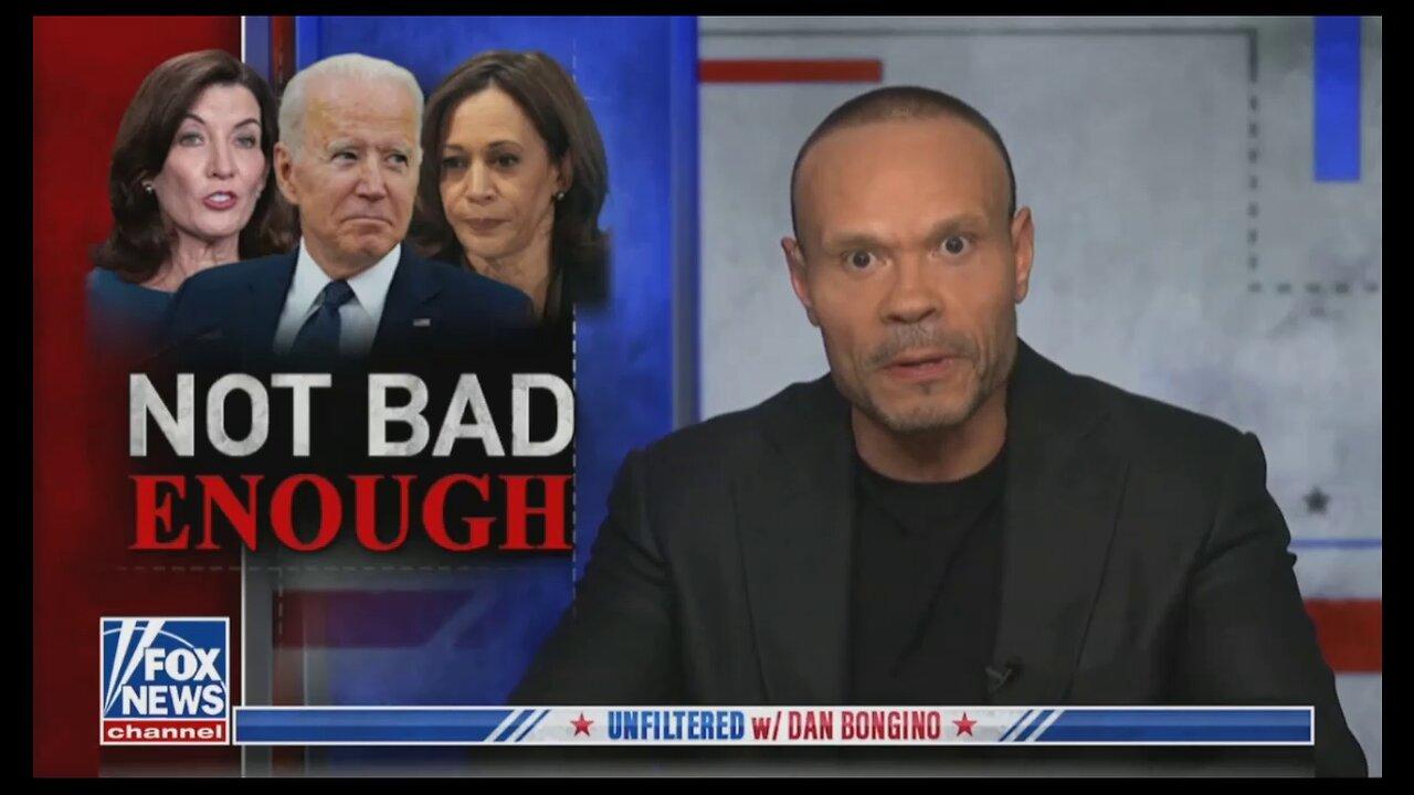 Unfiltered with Dan Bongino 11/12/22 🆕 Fox News November 12, 2022