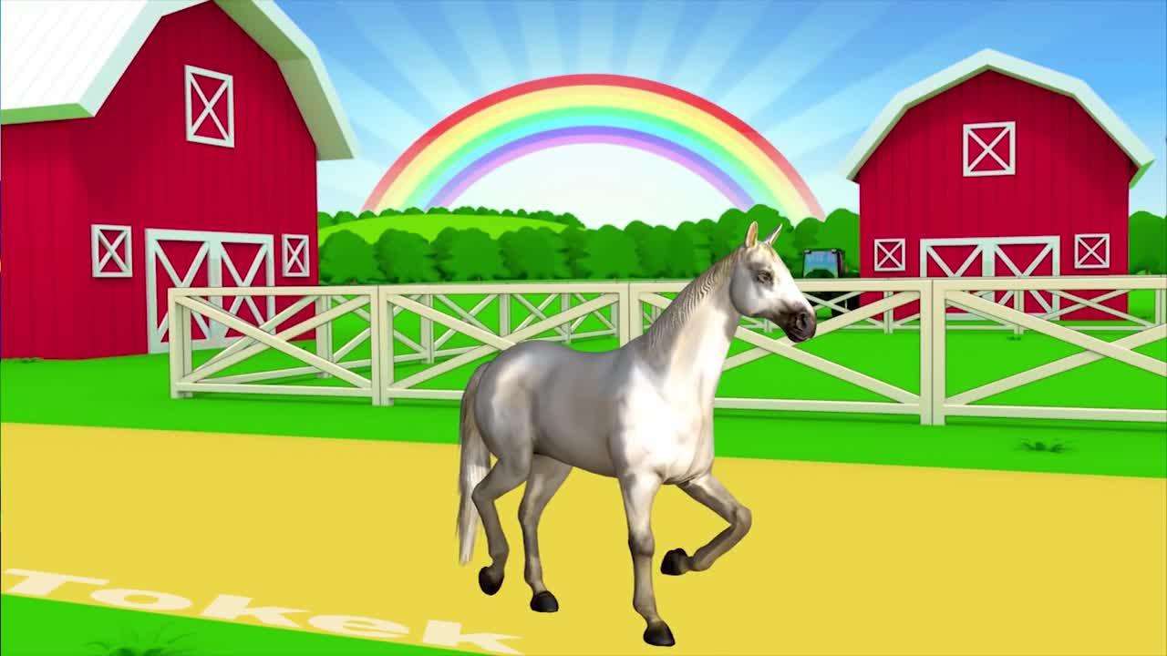 Farm Animal Names and sounds - One News Page VIDEO