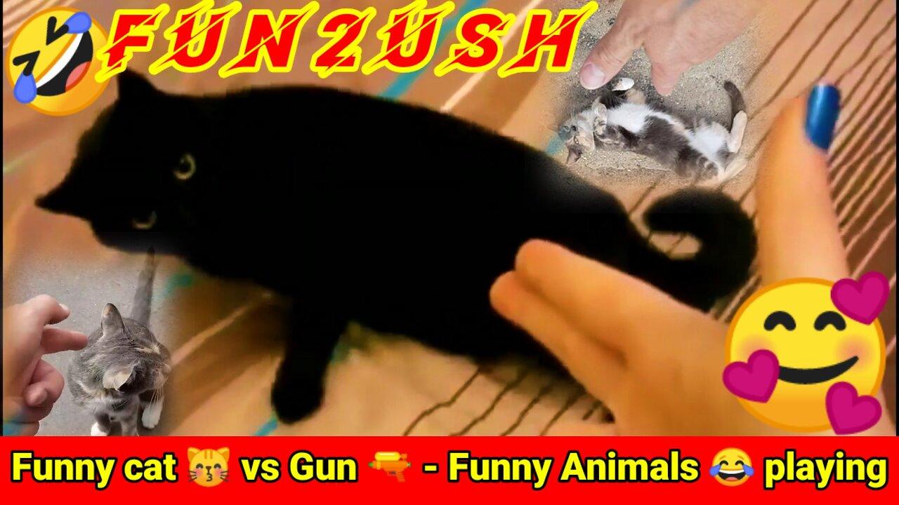 Funny cat 😽 vs Gun 🔫 dead on finger shot- Funny Animals 😂 playing || Animal Gags