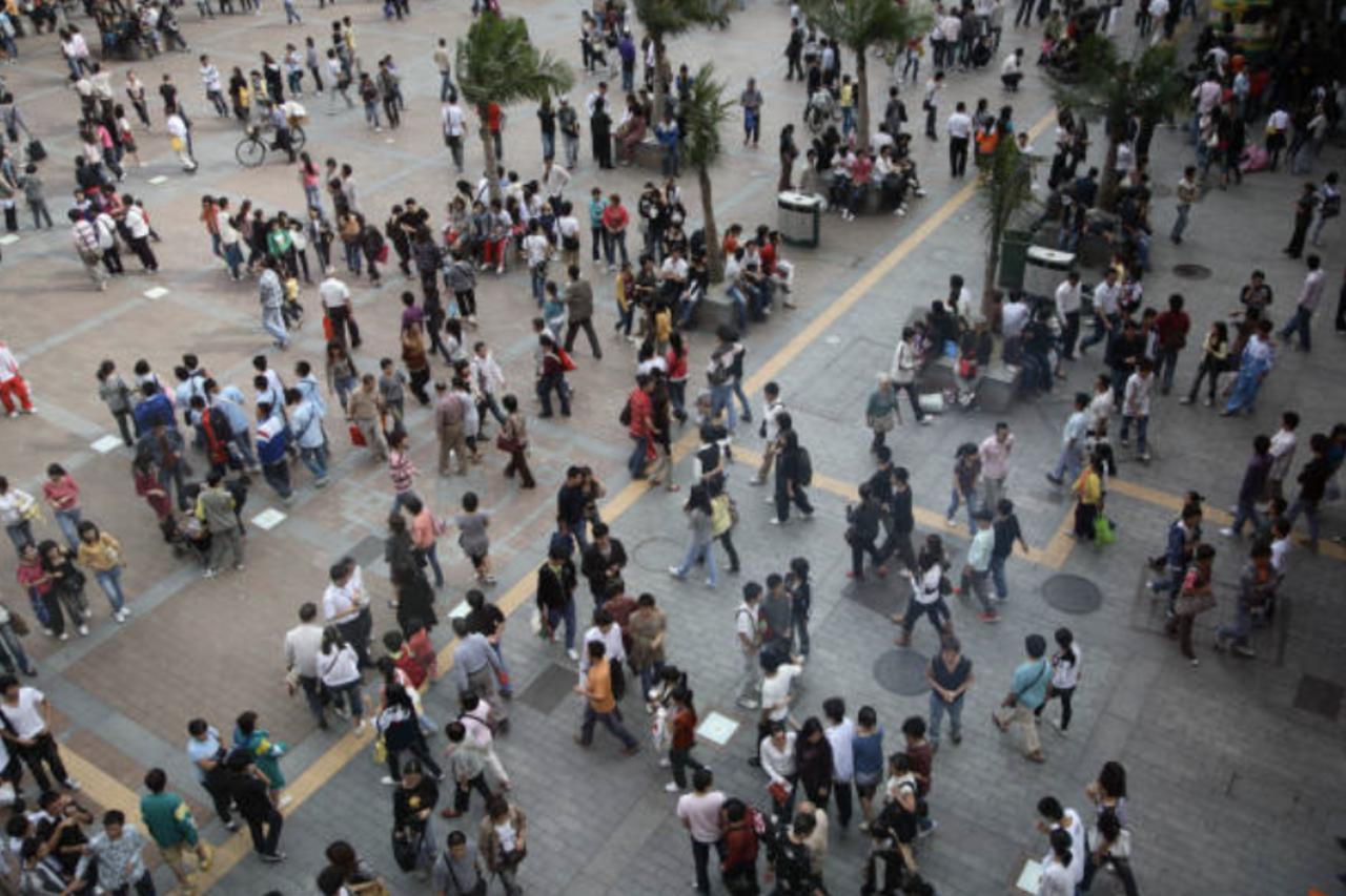 Global Human Population Hits Milestone of 8 Billion