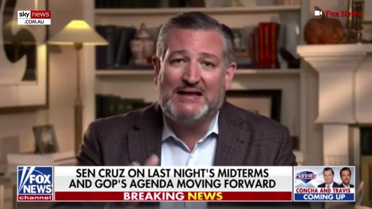 Ted Cruz joins Donald Trump in blaming Mitch McConnell over midterm losses