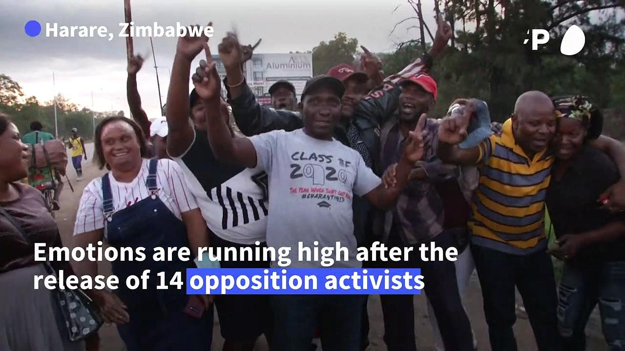 Zimbabwe frees opposition activists jailed for months