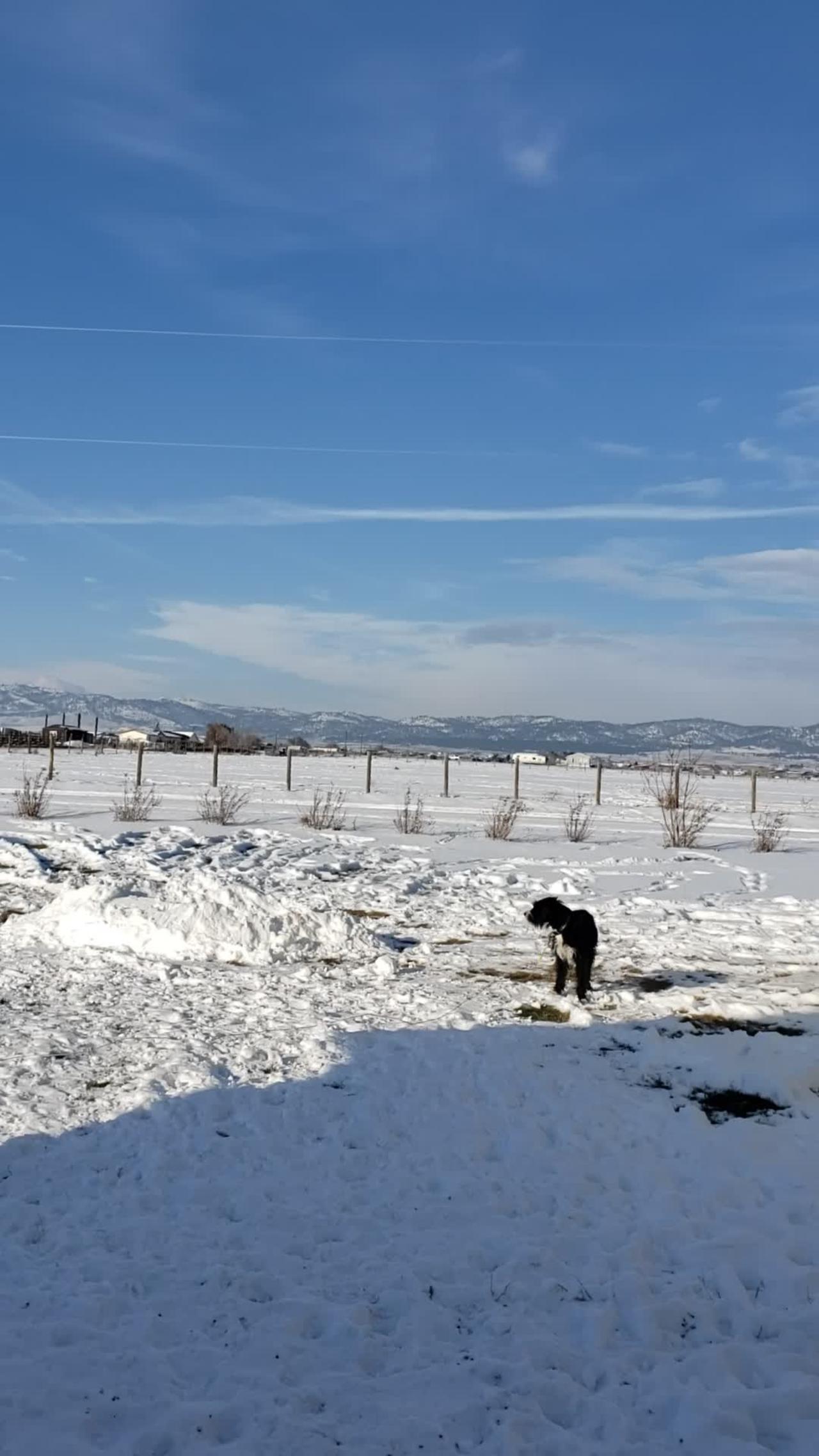 Winter chemtrails in montana