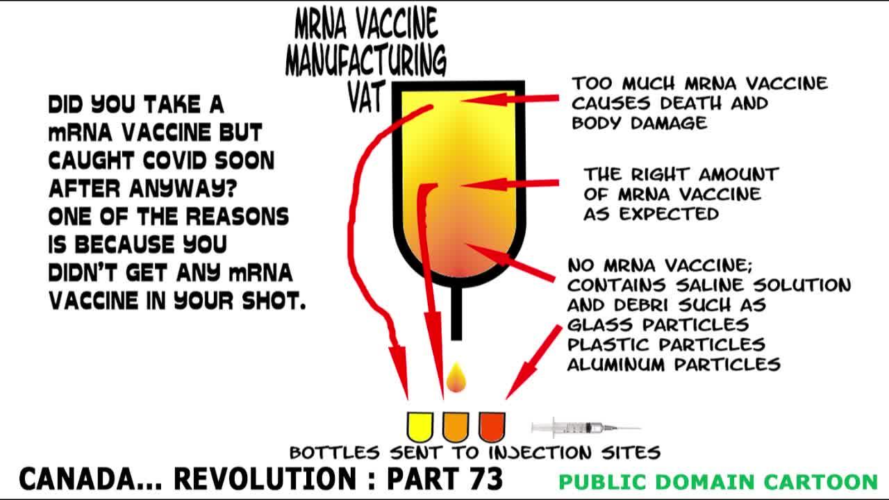 ONE OF THE REASONS WHY YOU DIE OR CATCH COVID-19 AFTER TAKING THE mRNA COVID-19 VACCINE