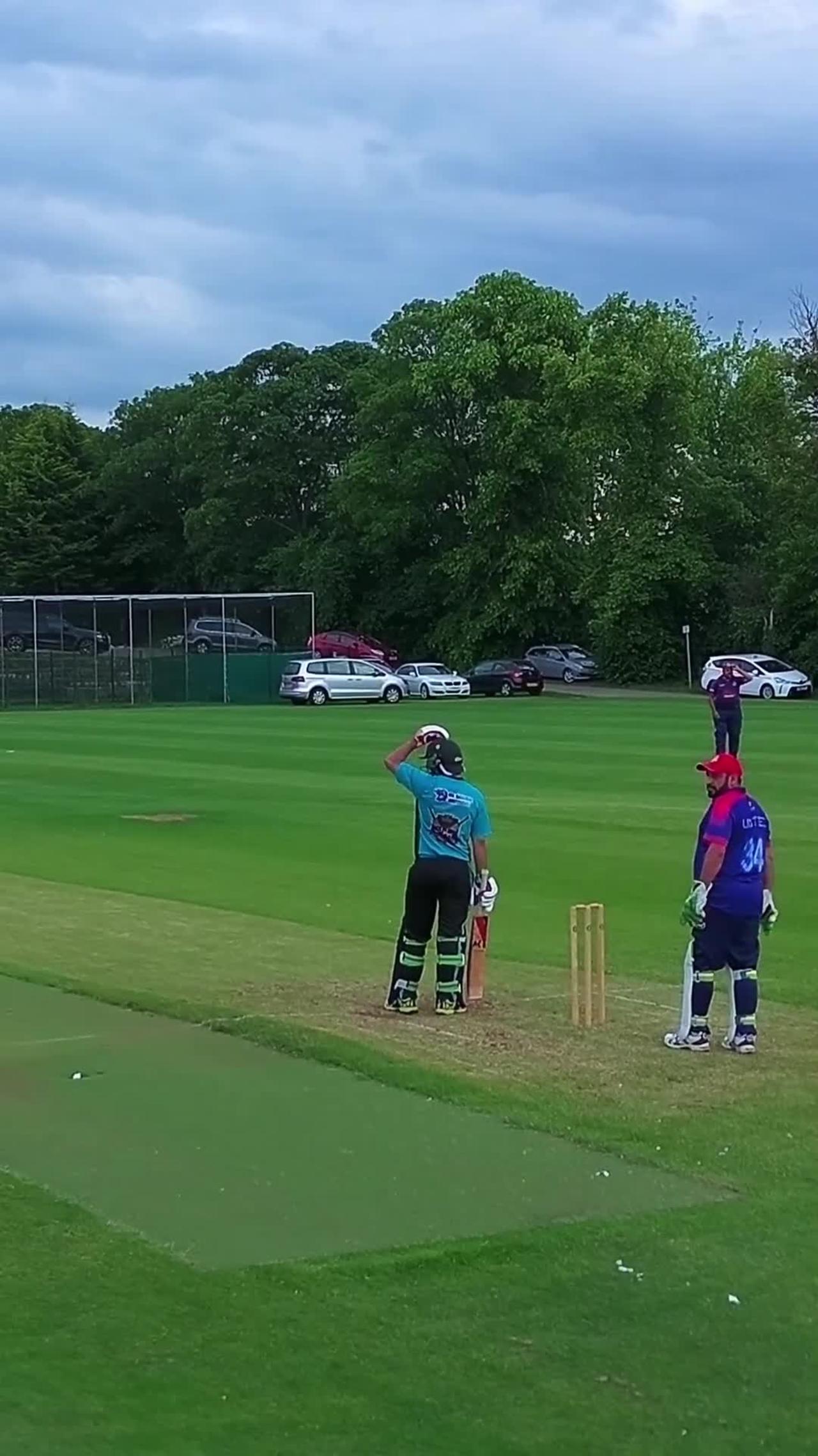 Best cricket video