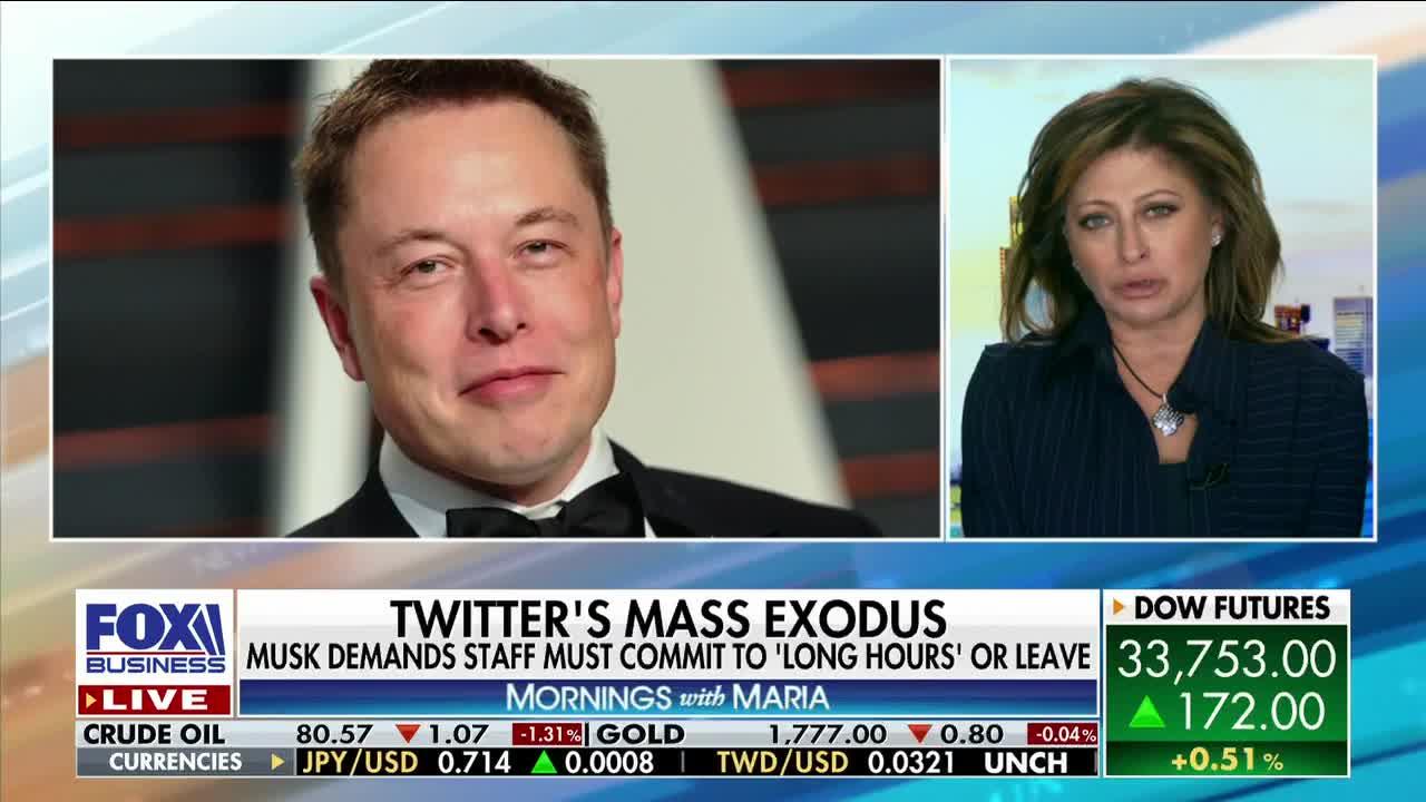 Musk gives Twitter employees ultimatum- 'Makes a lot of sense,' expert says.mp4