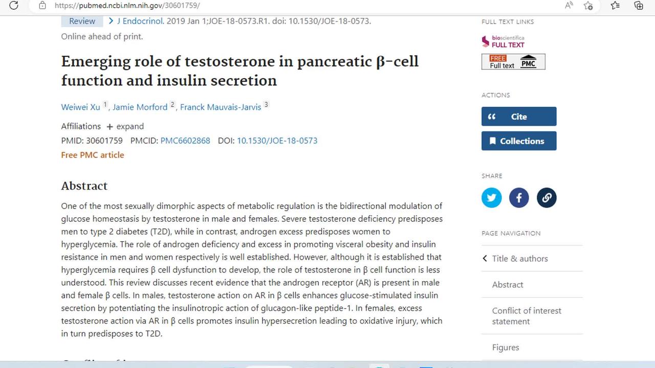 Literature Review: Sexually Dimorphic Pancreas and testosterone