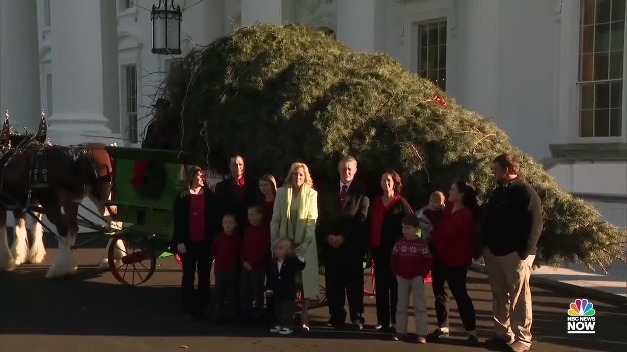 Jill Biden Receives White House Christmas Tree