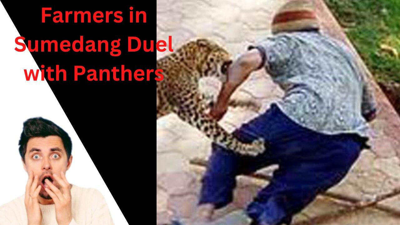 Farmers in Sumedang Duel with Panthers