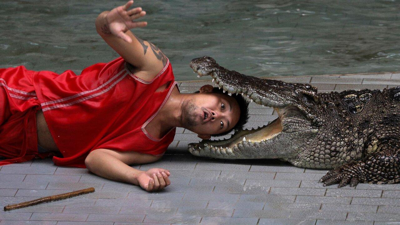 Wants to shoot fish, a man is even attacked by a crocodile!