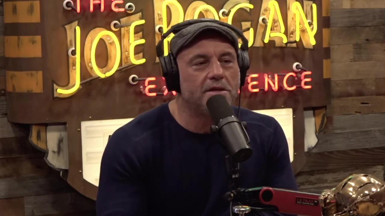 Joe Rogan: How To Become a Master! It's Ok To Have A Snake In The Room, As Long As The Are Lights ON