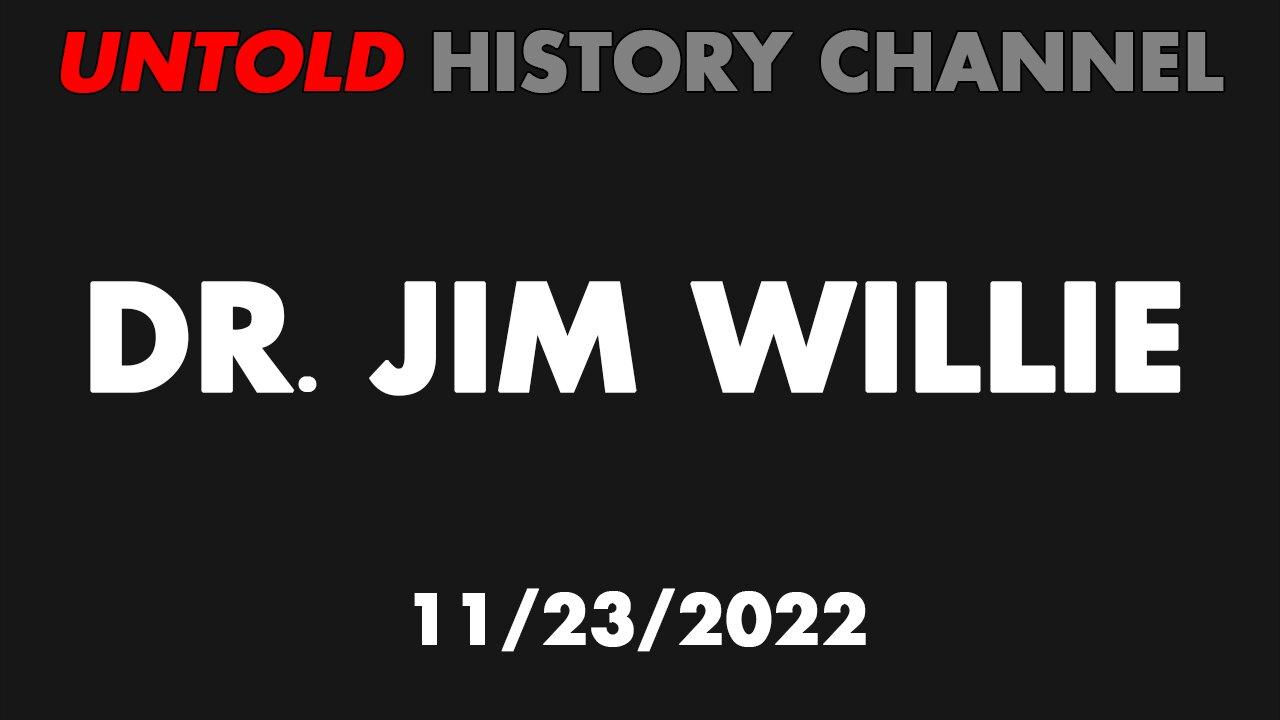 Dr. Jim Willie Interview 11/23/2022 - One News Page VIDEO
