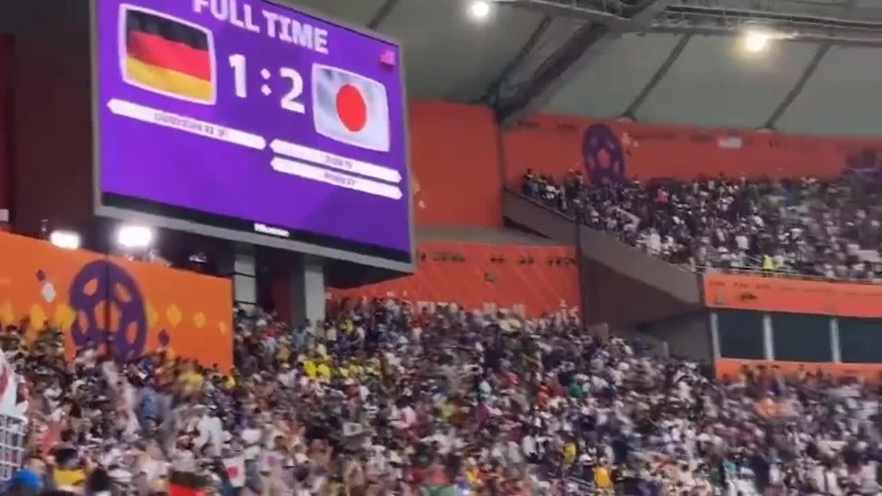 Crazy celebrations by Japan players and fans following their victory over Germany in the World Cup