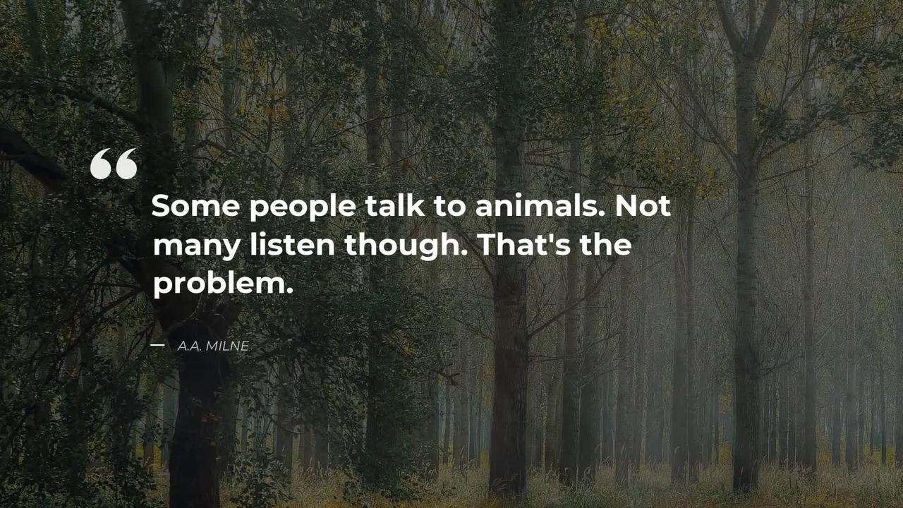 THE TOP 20 ANIMAL QUOTES I INSPIRATIONAL QUOTES | TRADITIONAL QUOTES