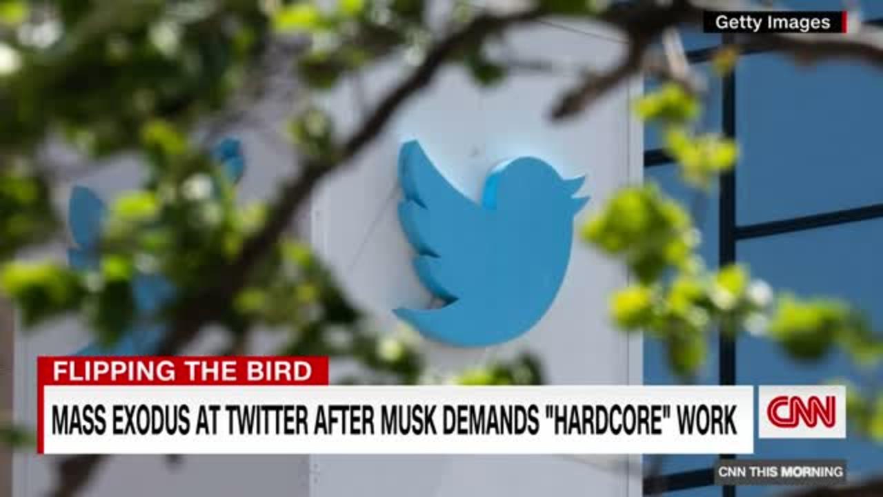 Twitter HQ trolled as Musk shuts down offices
