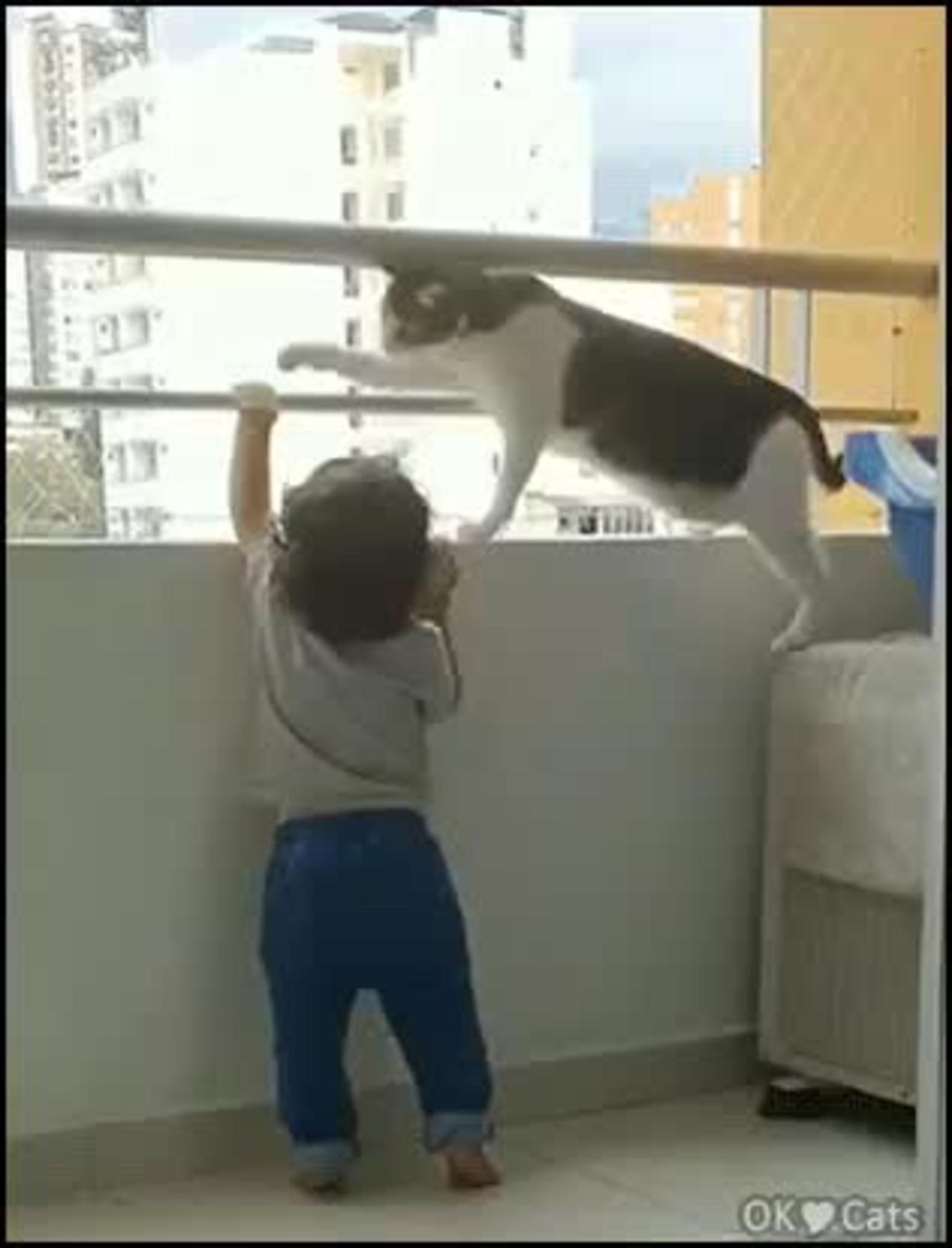 A cat takes care of a human child
