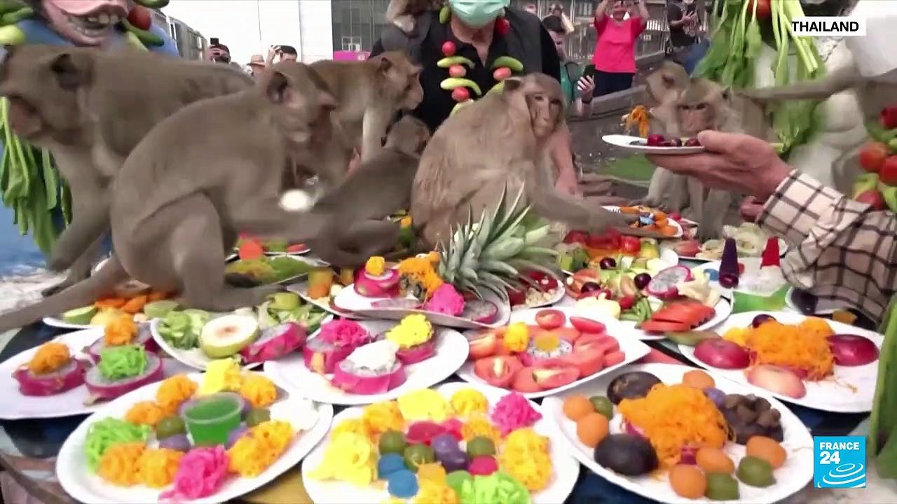 Monkeys in central Thailand city mark their day with feast
