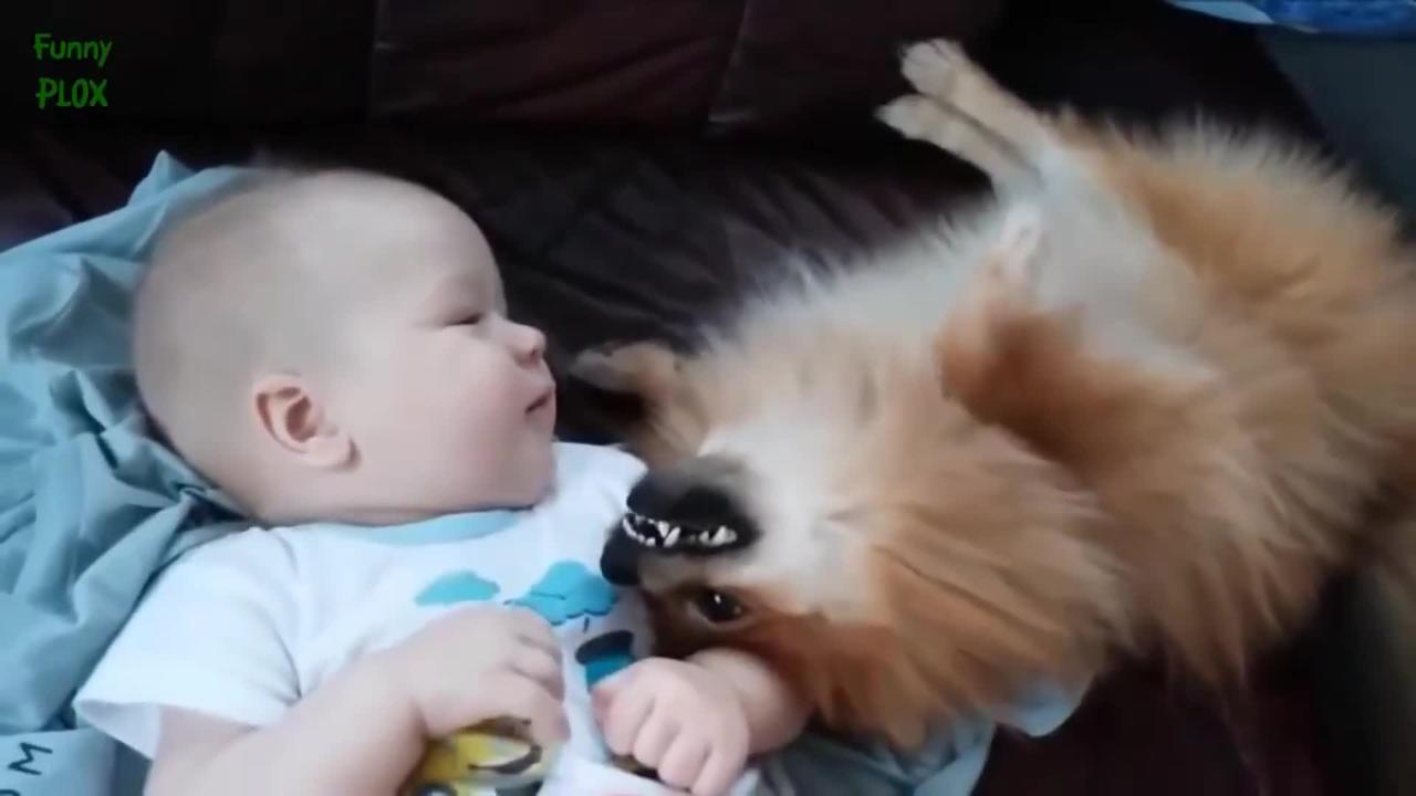 So sweet..🥰🥰 Cute Cats And Dogs Loving Babies New Compilation 2022 Hd_1080p