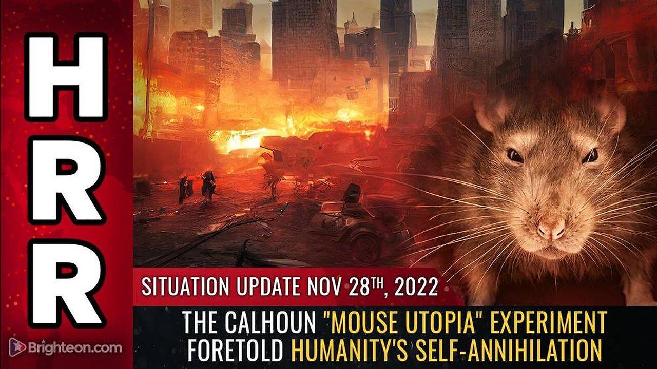 Mike Adams Situation Update, Nov 28, 2022 - The Calhoun "mouse utopia" experiment foretold humanity's self-annihi