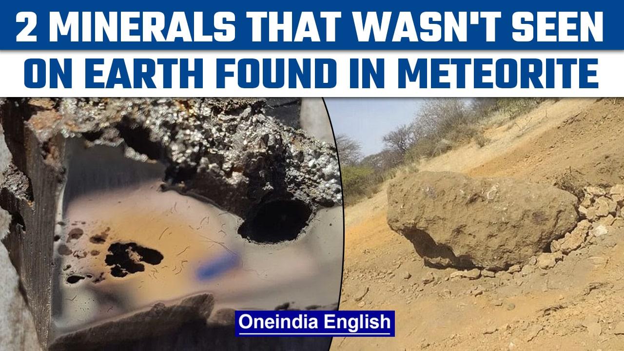 Scientists discover 2 minerals never seen before on Earth in EL Ali meteorite |Oneindia News*Science
