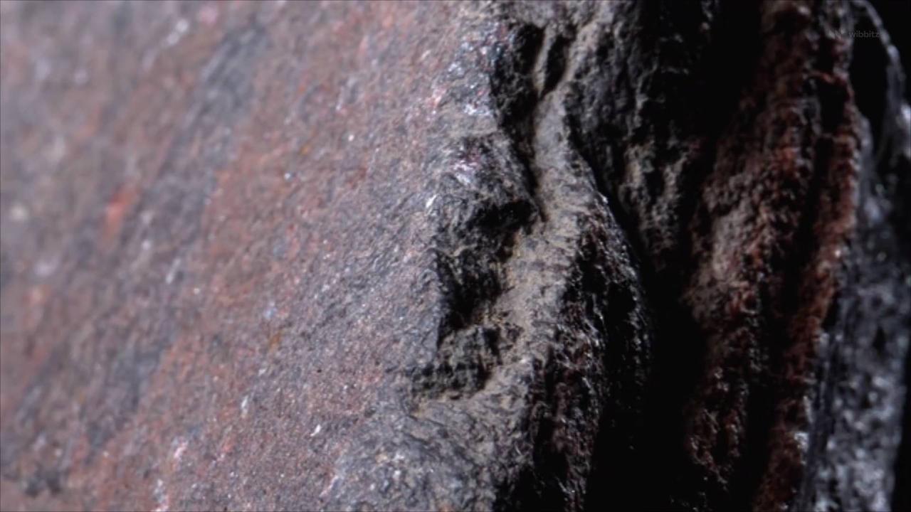 Researchers Discover 2 New Minerals in Massive Meteorite