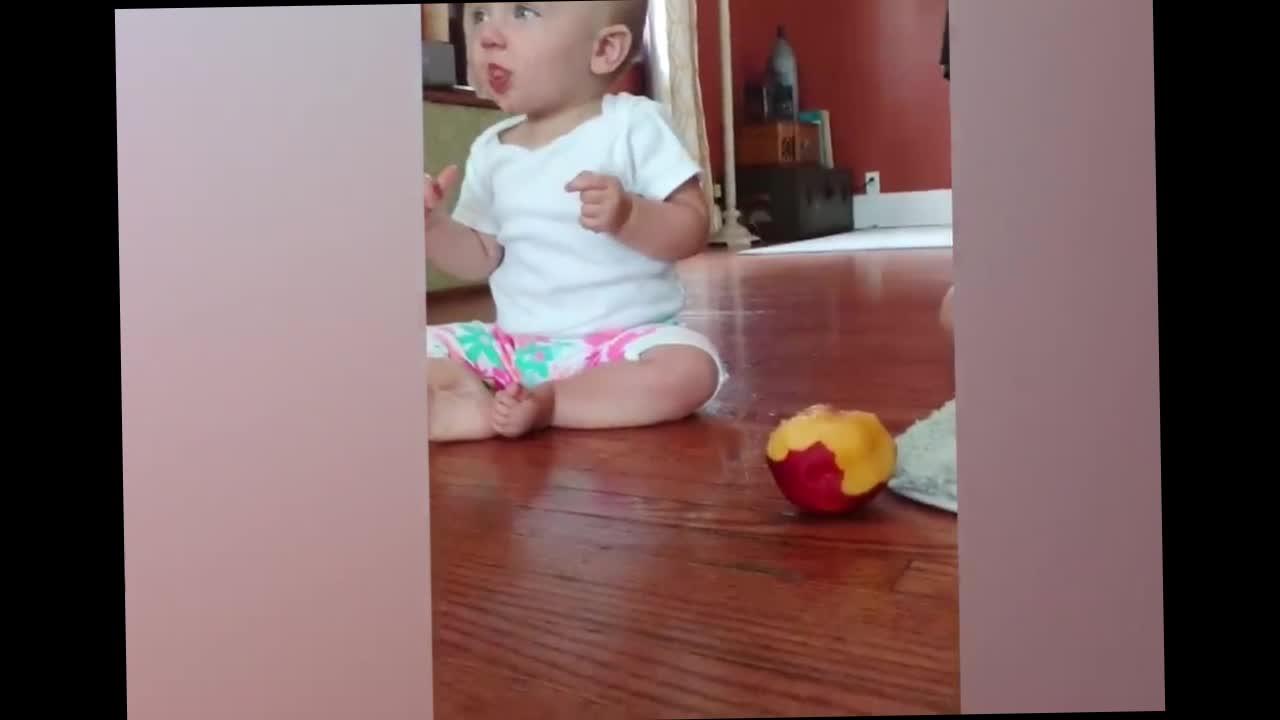 Cute baby interacts with dogs