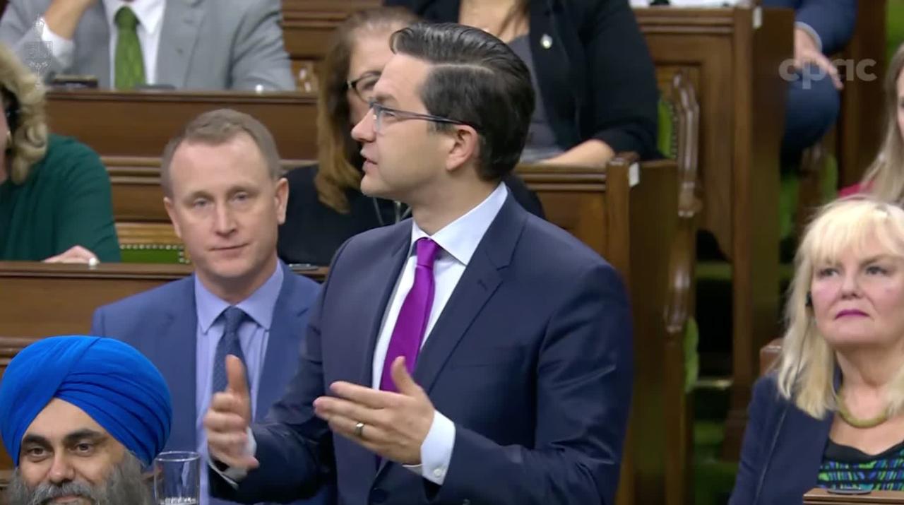 Pierre Poilievre: "Why is [Trudeau] more concerned with protecting wild turkeys from hunters than he is concerned about pro