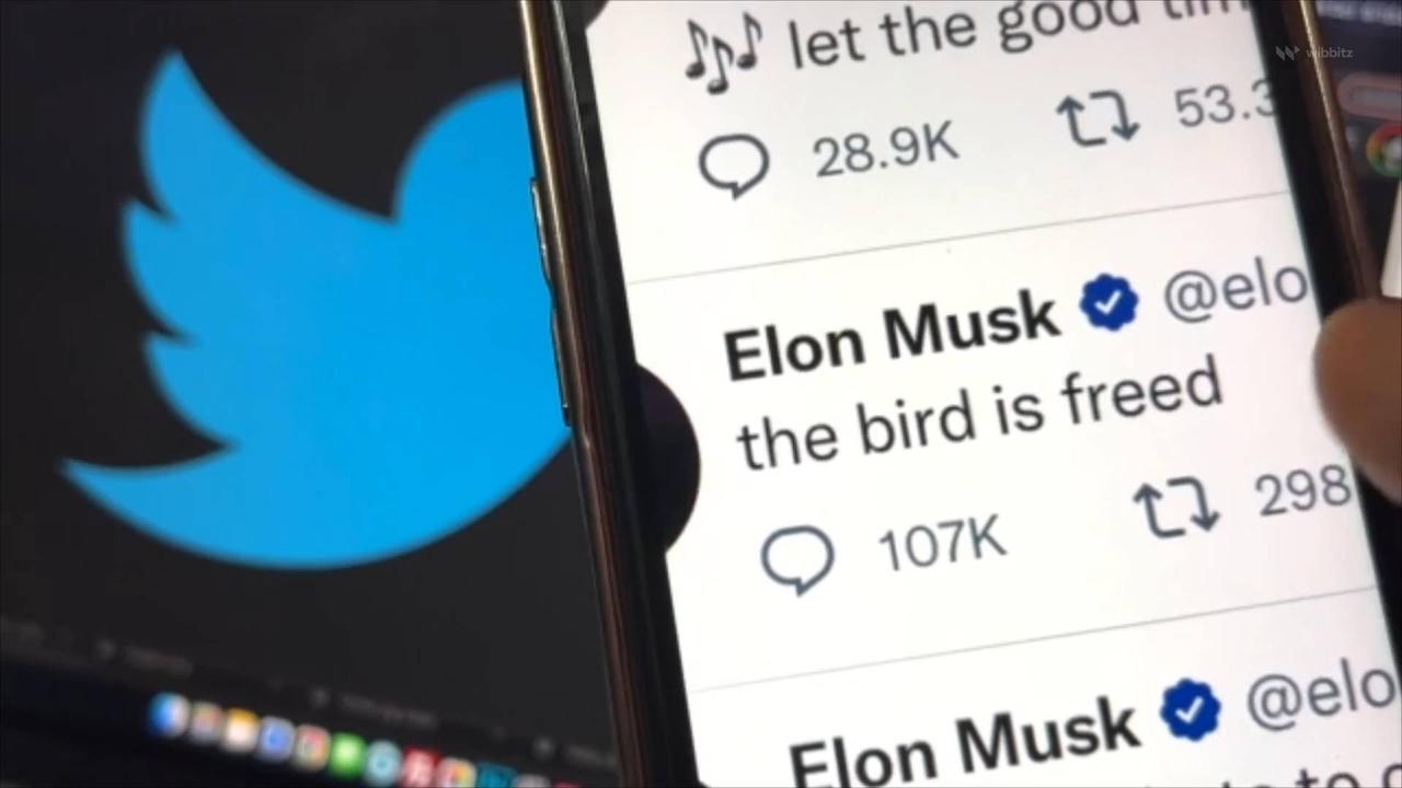 Twitter Has Grown Under Elon Musk, Data Shows