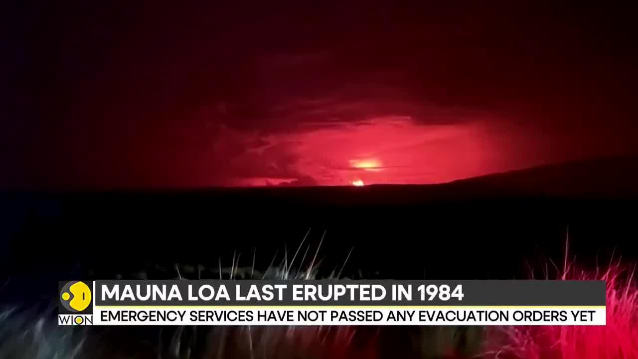 Hawaii's Mauna Loa volcano erupts for the first time in almost 40 years _ International News _ WION