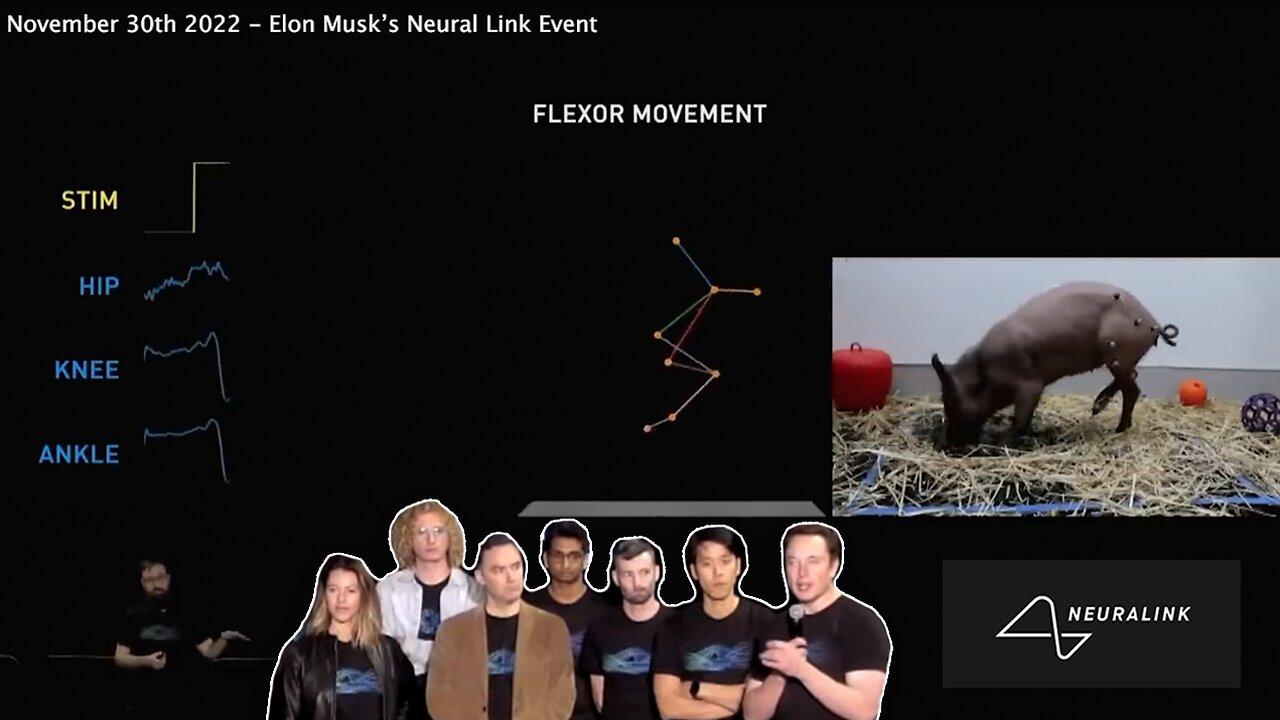Elon Musk | Musk's Neural Link Event + Why Are Schwab, Harari, Kurzweil, Grimes, Brin & The World Economic Forum Discus