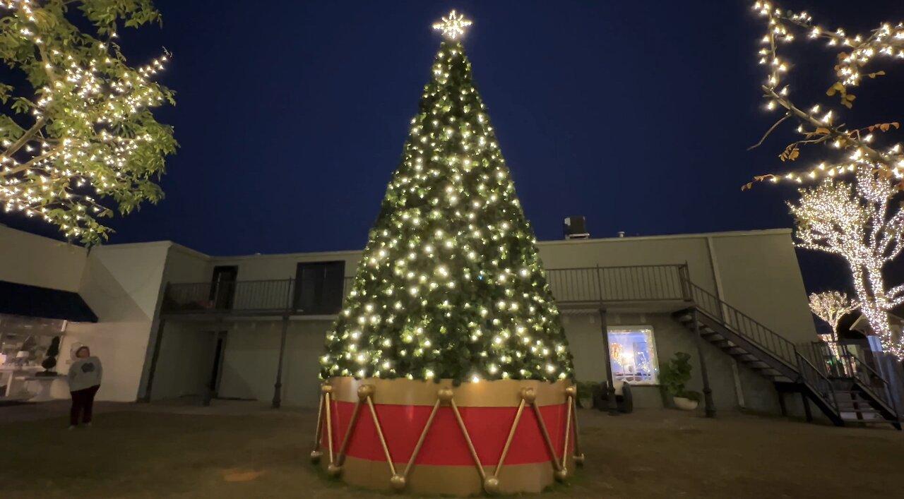 Christmas Lights in Fairhope, Alabama