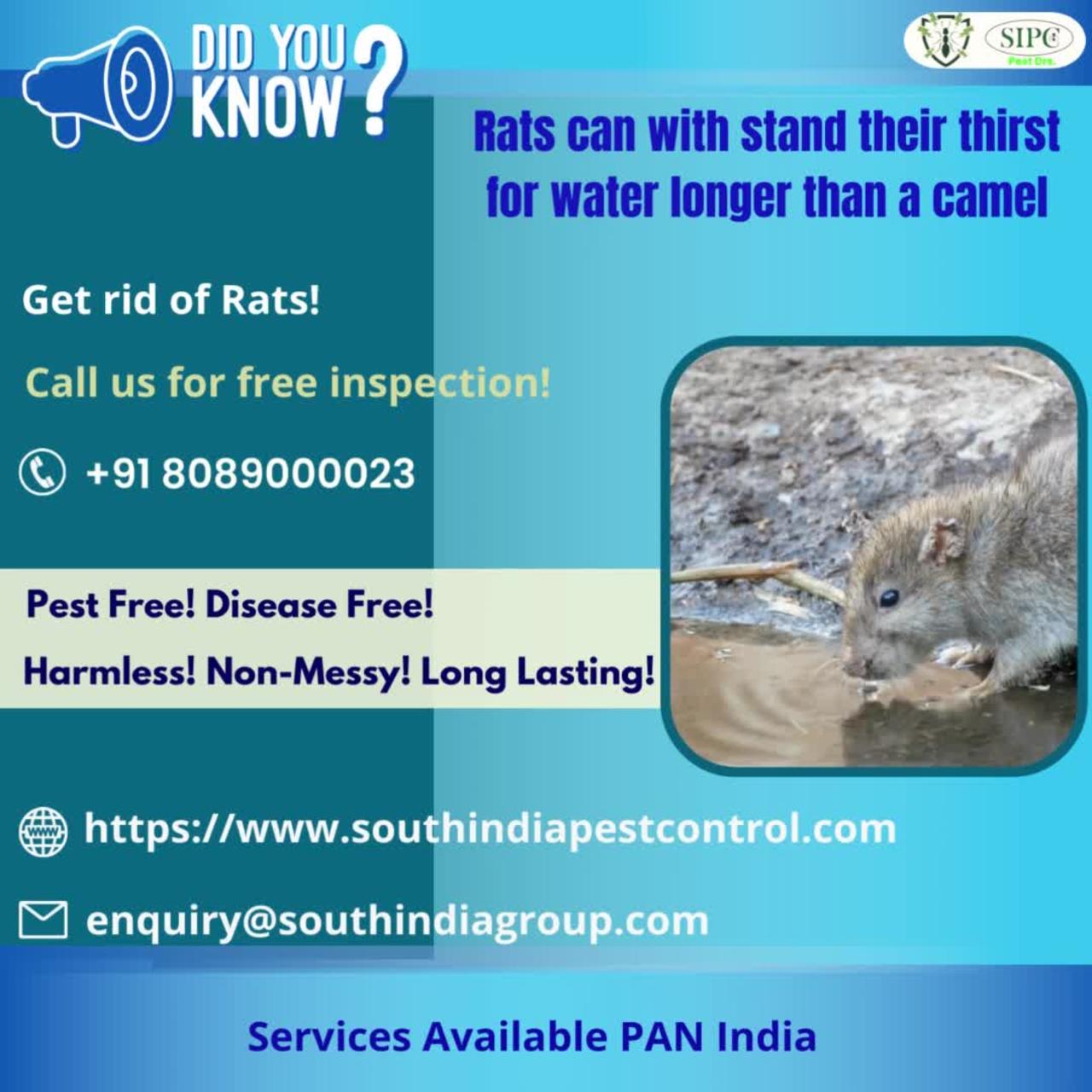 Rodent Control Services in Cochin
