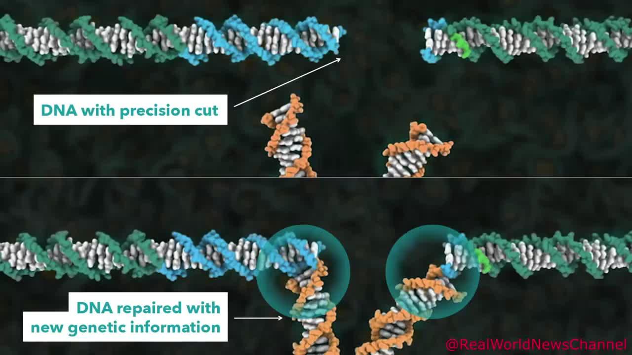 WARNING: Jennifer Doudna: How CRISPR (Software for your Genome) Lets Us EDIT & PROGRAMM Our DNA!!!