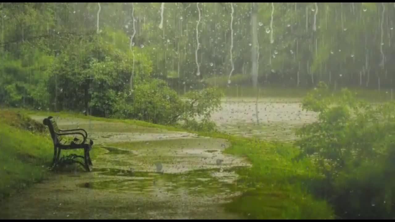 Rain Sounds for Sleeping - Sound of Heavy Rainstorm & Thunder in the Misty Forest At Night