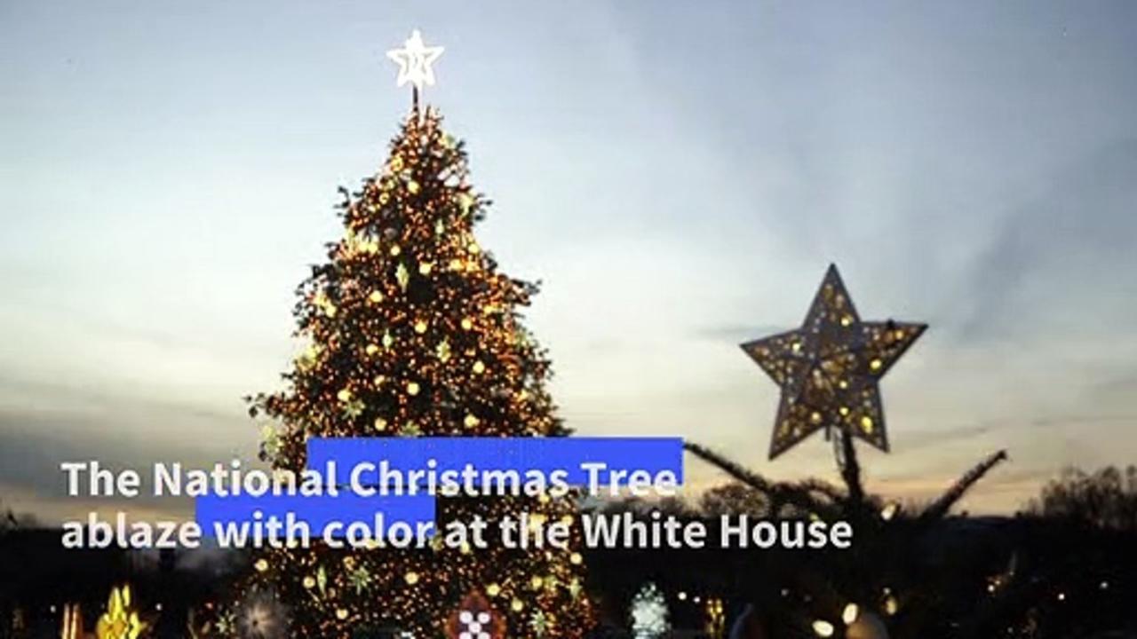 Christmas trees from across the US light up National Mall