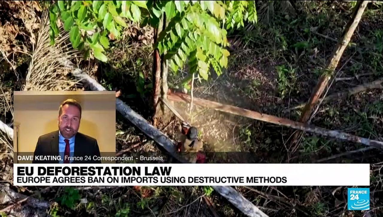 EU deforestation law to ban imports using destructive methods