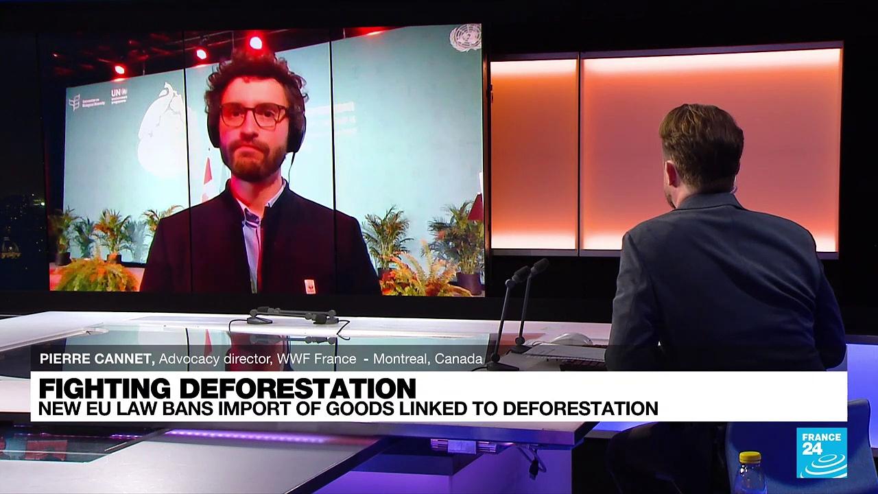 'Historic deal at the EU against deforestation sends a strong signal to the rest of the world'