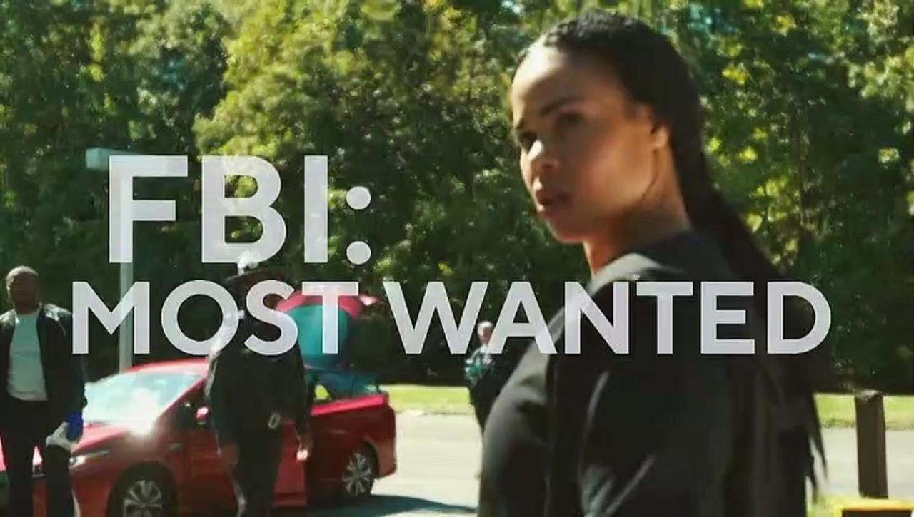 FBI Most Wanted S04E08 Appeal