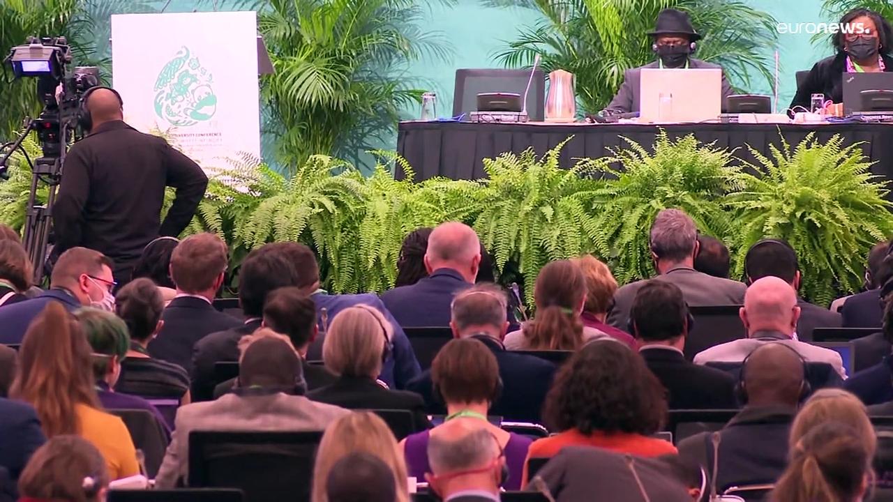 'Without nature we have nothing' said UN Chief at COP15 Biodiversity summit