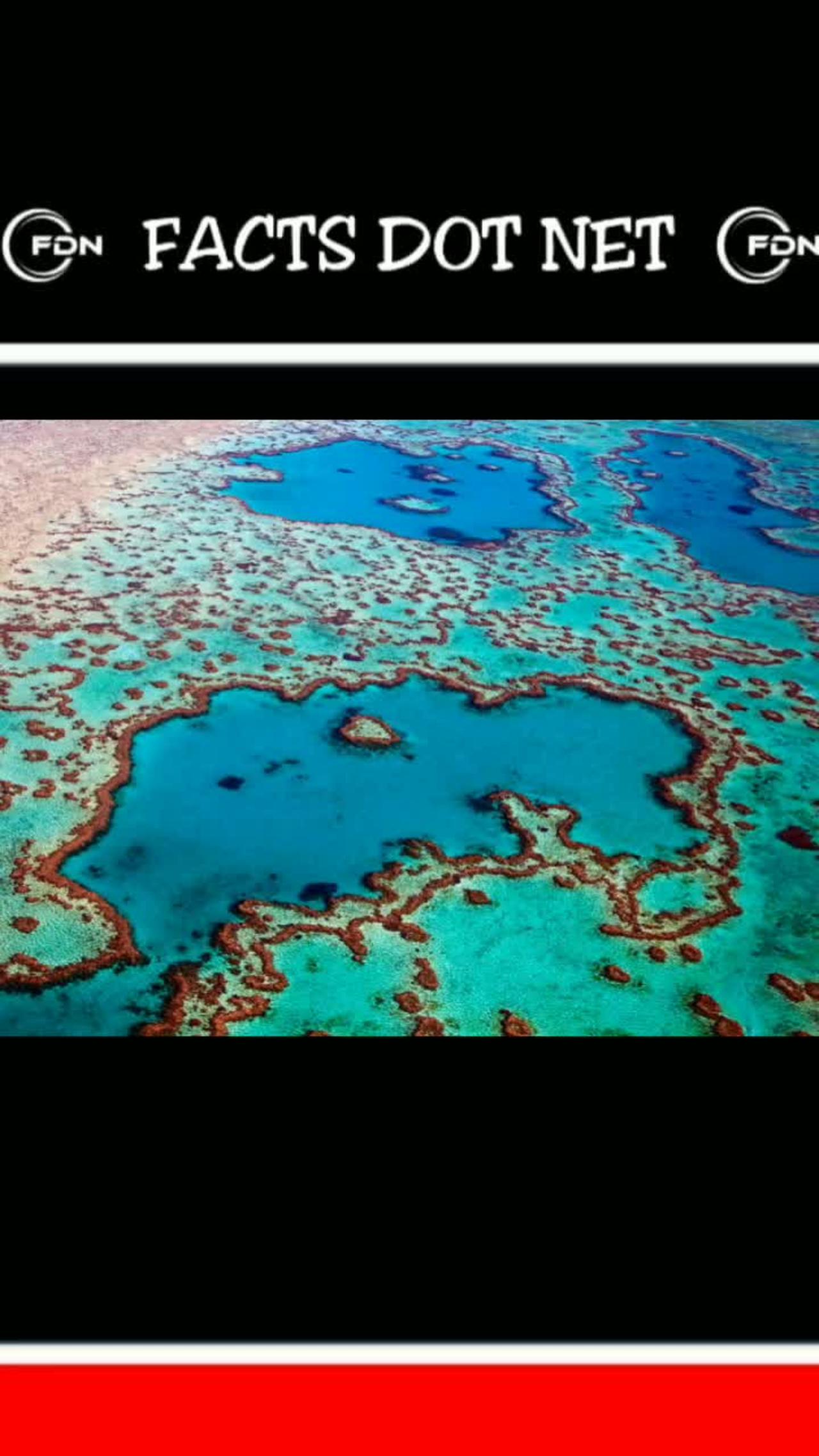Did you know? Great Barrier Reef, Queensland, Australia