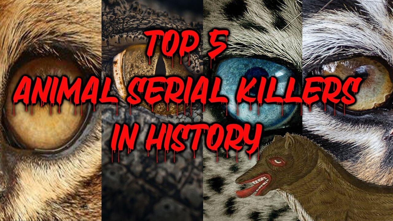 Top 5 Animal Serial Killers in History