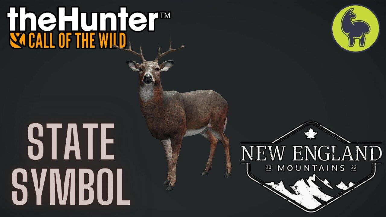 State Symbol, New England Mountains | theHunter: - One News Page VIDEO